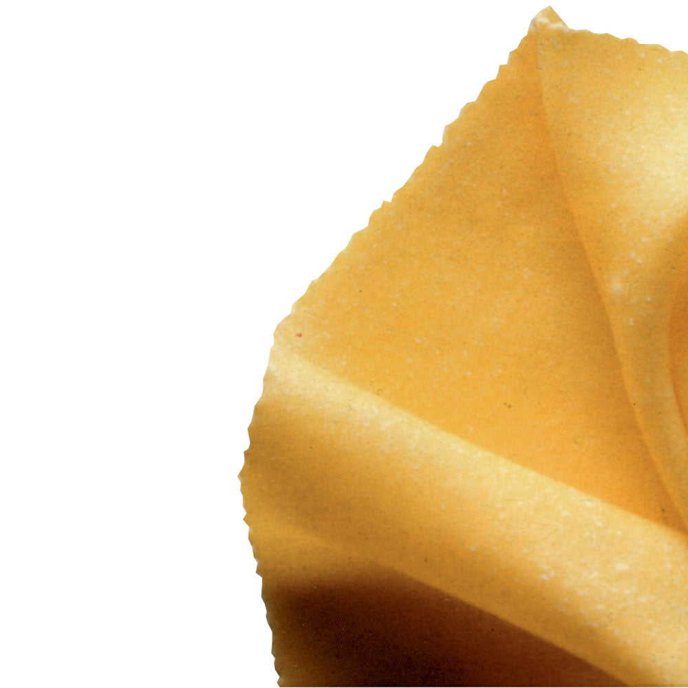 Matrice feuille à pâtes