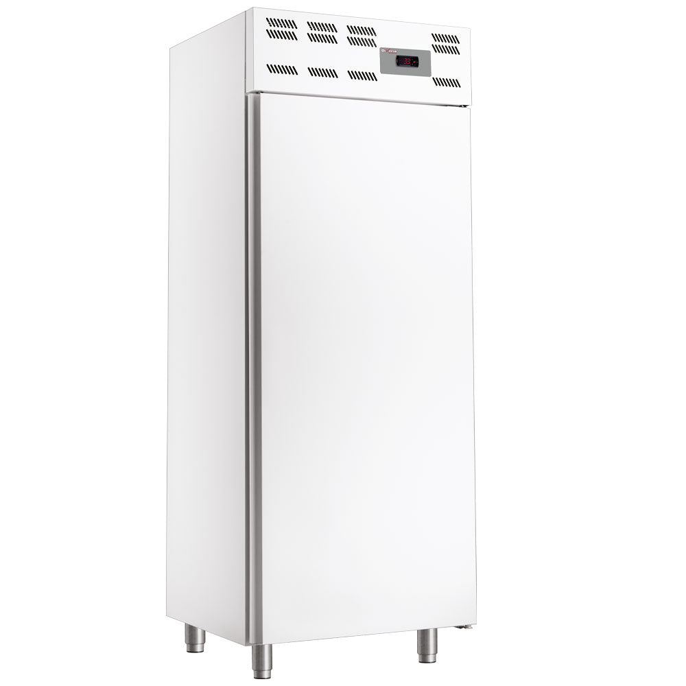Armoire congelation 20x EN 600x400, statique, (500 Lit.) - Skinplate blanc