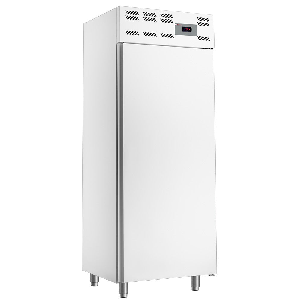 Armoire congelation 14x EN 600x400, statique, (500 Lit.) - Skinplate blanc