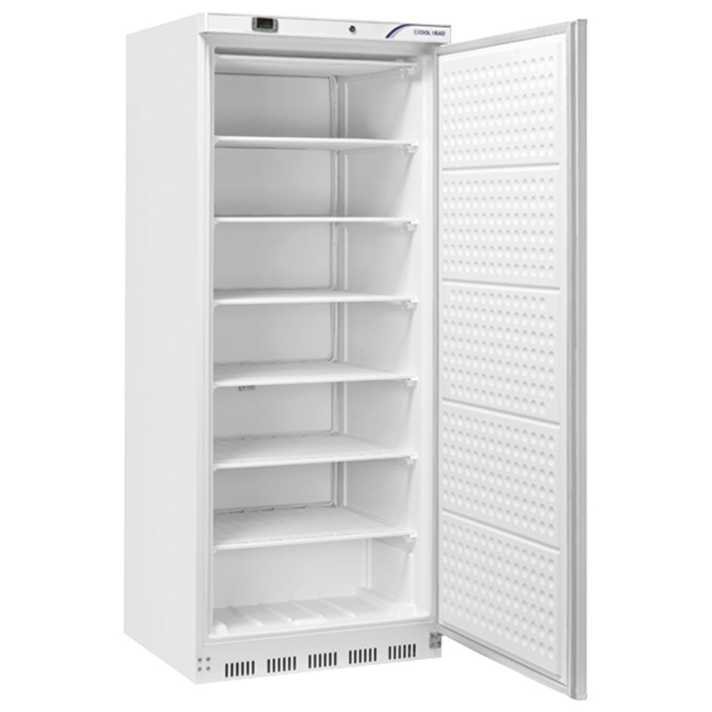 ABS freezer upright