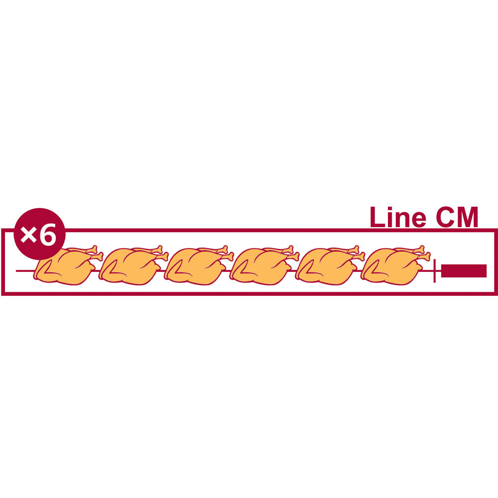 Rôtissoire gaz 8 broches (48 poulets)