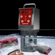 Cuve GN 1/1 pour cuiseur sous-vide, avec couvercle