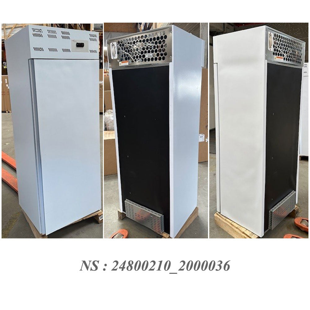 Armoire congelation 14x EN 600x400, statique, (500 Lit.) - Skinplate blanc