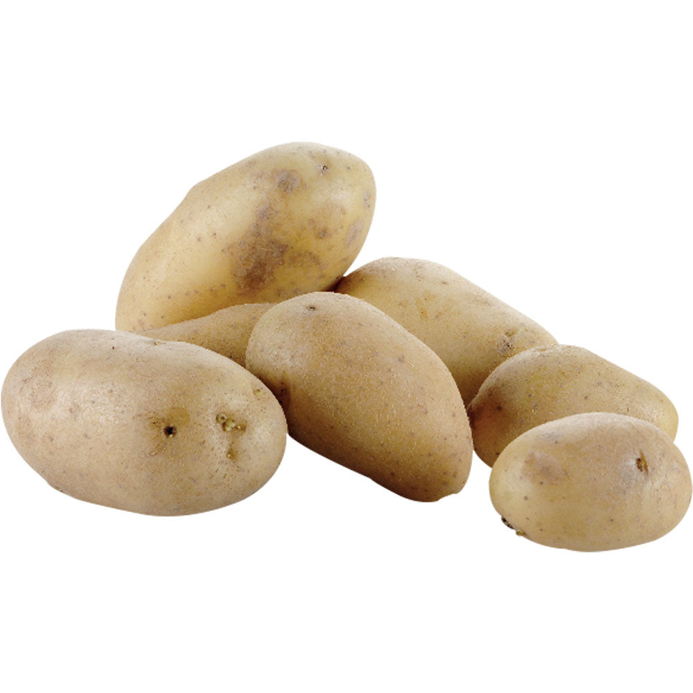 Eplucheuse pommes de terre sur pied (10 kg)