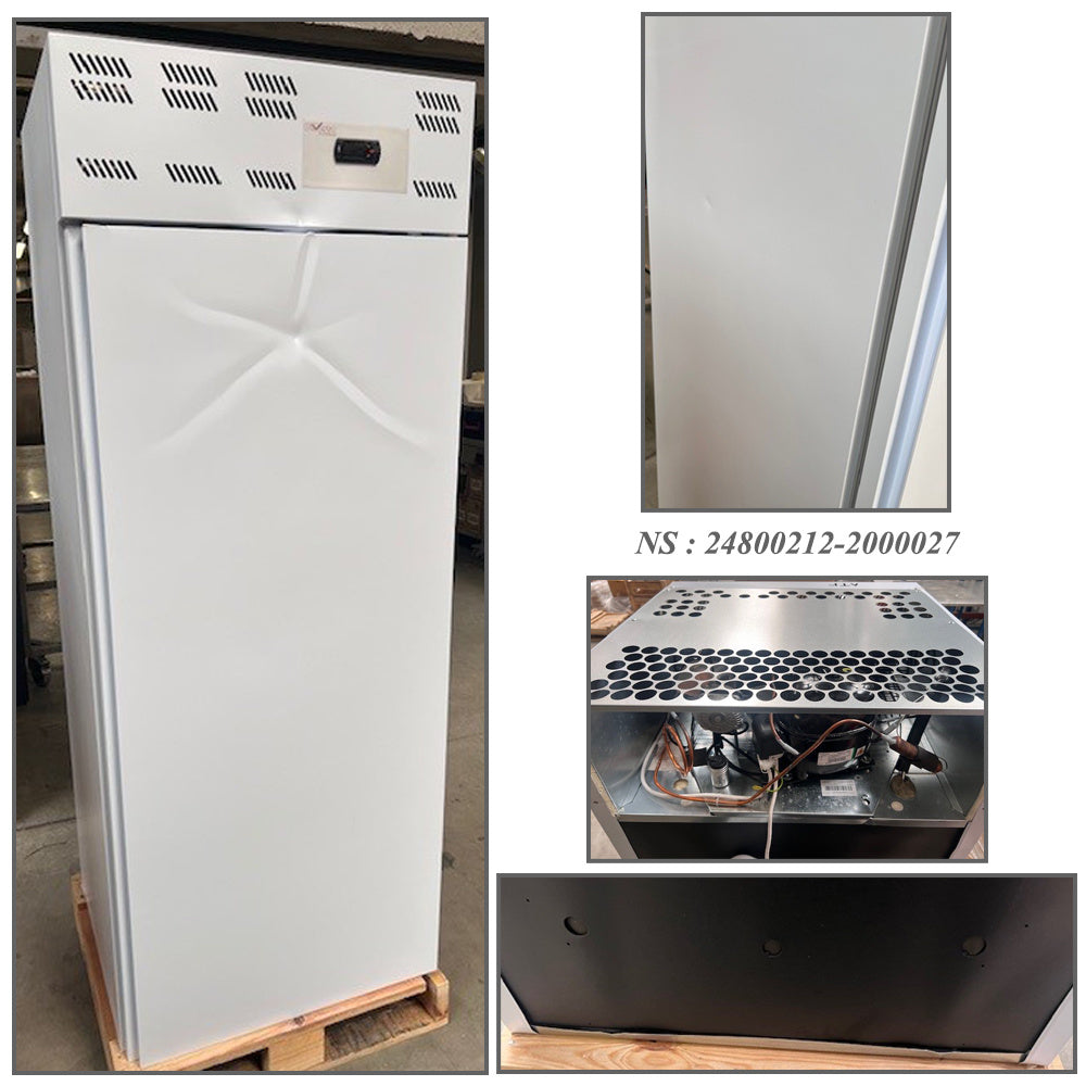Armoire congelation 20x EN 600x400, statique, (500 Lit.) - Skinplate blanc