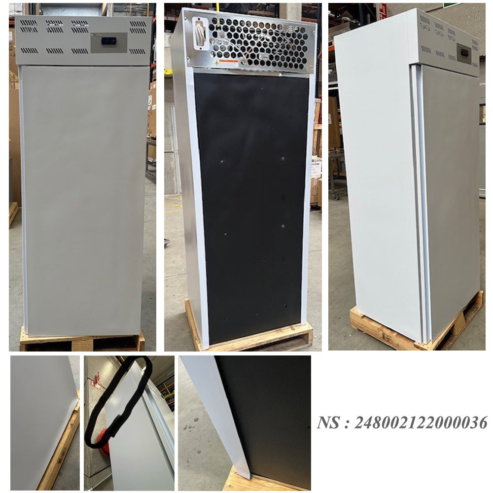 Armoire congelation 20x EN 600x400, statique, (500 Lit.) - Skinplate blanc