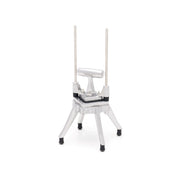 Coupe-frites professionnel - vertical - manuel