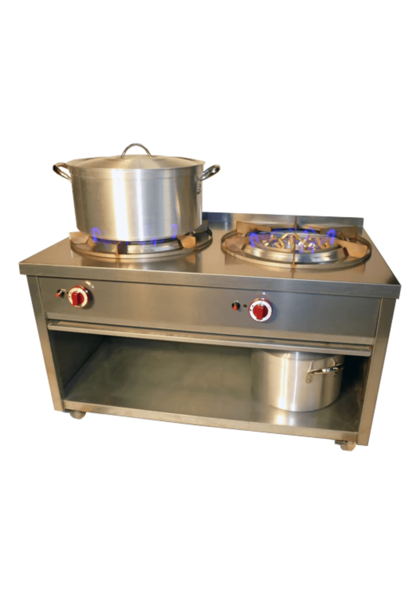 Cuisinière Professionnel Indienne - SHAAN - SHAAN France