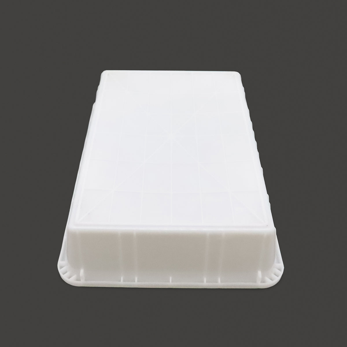 Réfrigérateur à poissons - 600 L - Conteneur en plastique (60 x 40 cm)