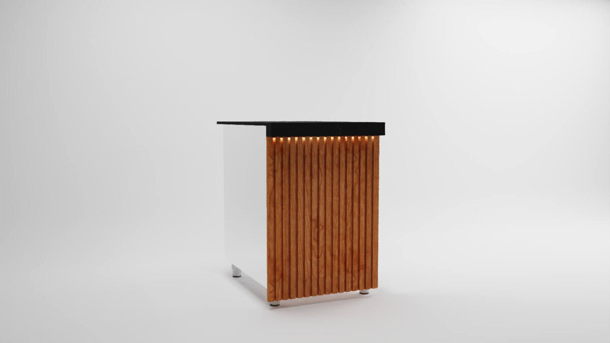 Module caisse professionnel – 50 cm – sans vitre