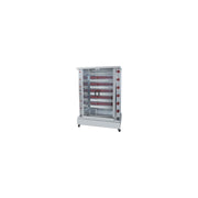 Rôtissoire professionnelle à gaz DESIN 6 - 6 broches / 36 poulets - FECA