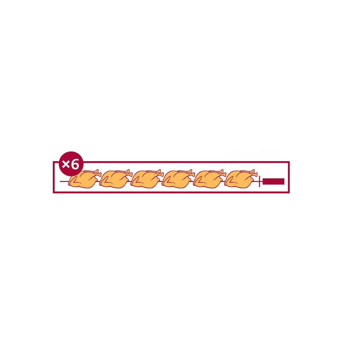 Rôtissoire professionnelle à gaz FECA avec 4 broches, capacité de 20 à 24 poulets, grill et broches en acier inoxydable.