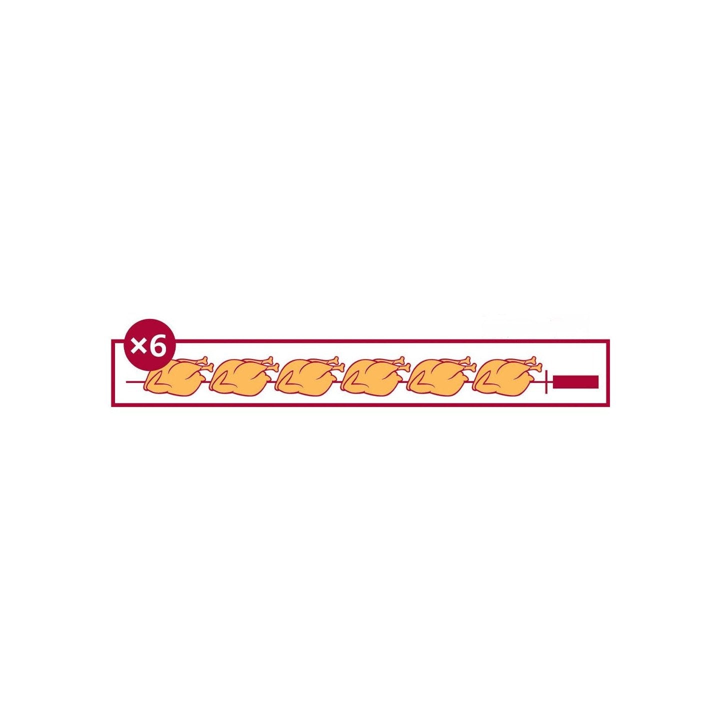 Rôtissoire professionnelle à gaz 4-20 EKO - 4 broches / 20 à 24 poulets - FECA - vue 2