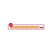 Rôtissoire professionnelle électrique 6-30 EKO-E - 6 broches / 30 à 36 poulets - FECA - vue 2