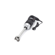Bâton mixeur - manche 31 cm - 650W